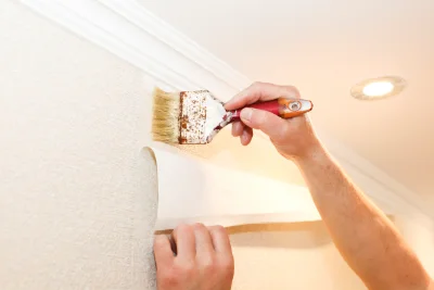 Pose de papier peint à Vernaison — revêtements muraux et toiles de verre